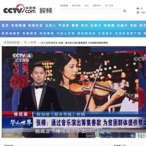 CCTV 4 International Channel, 中央电视台国际频道